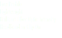 Low Profile Lightweight Brilliant Fiber Optic Intensity Headband or Clip On 