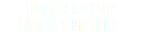 HALOGEN INTENSITY BRIGHT WHITE FILTER